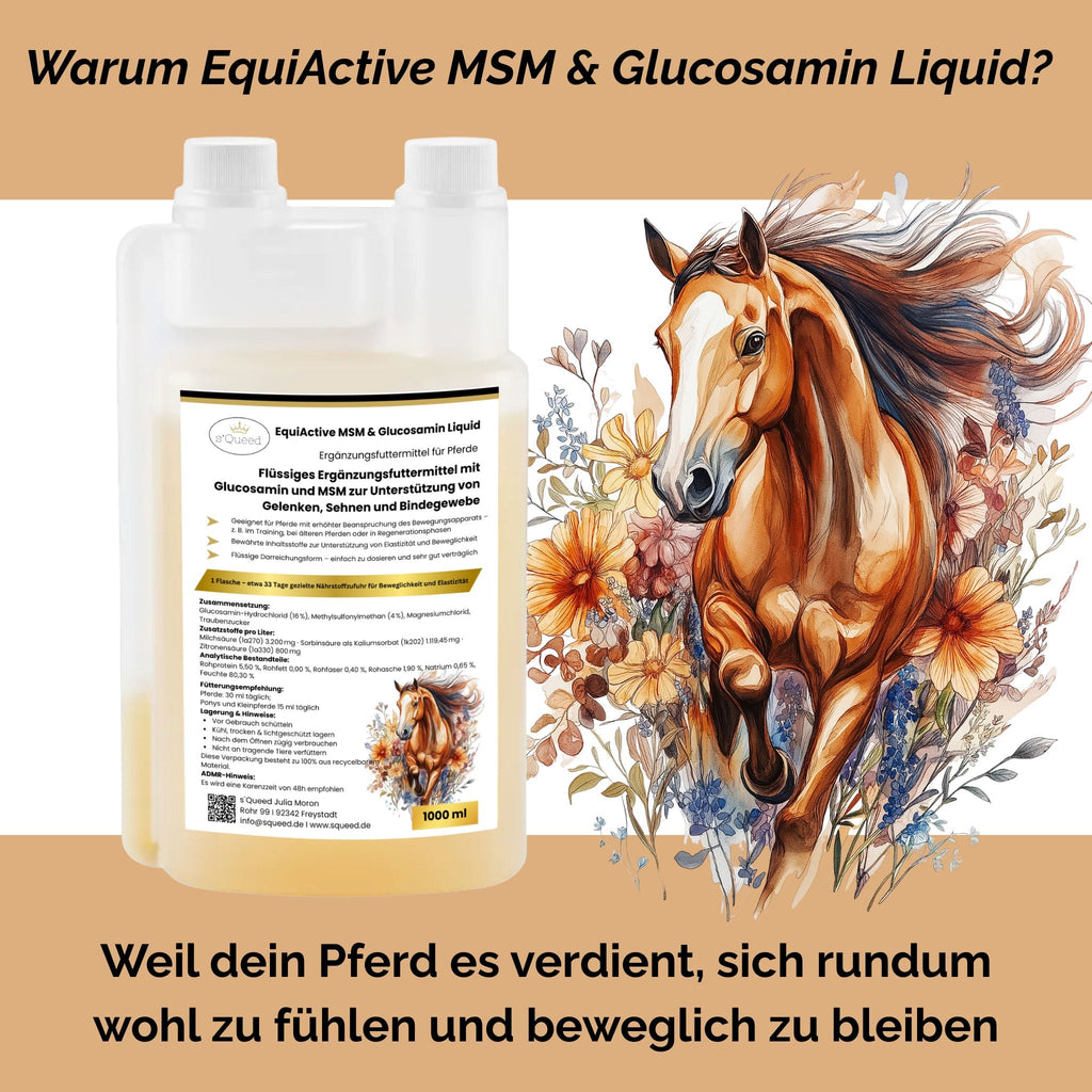 EquiActive MSM & Glucosamin Pferd Liquid 1000ml - TierVita