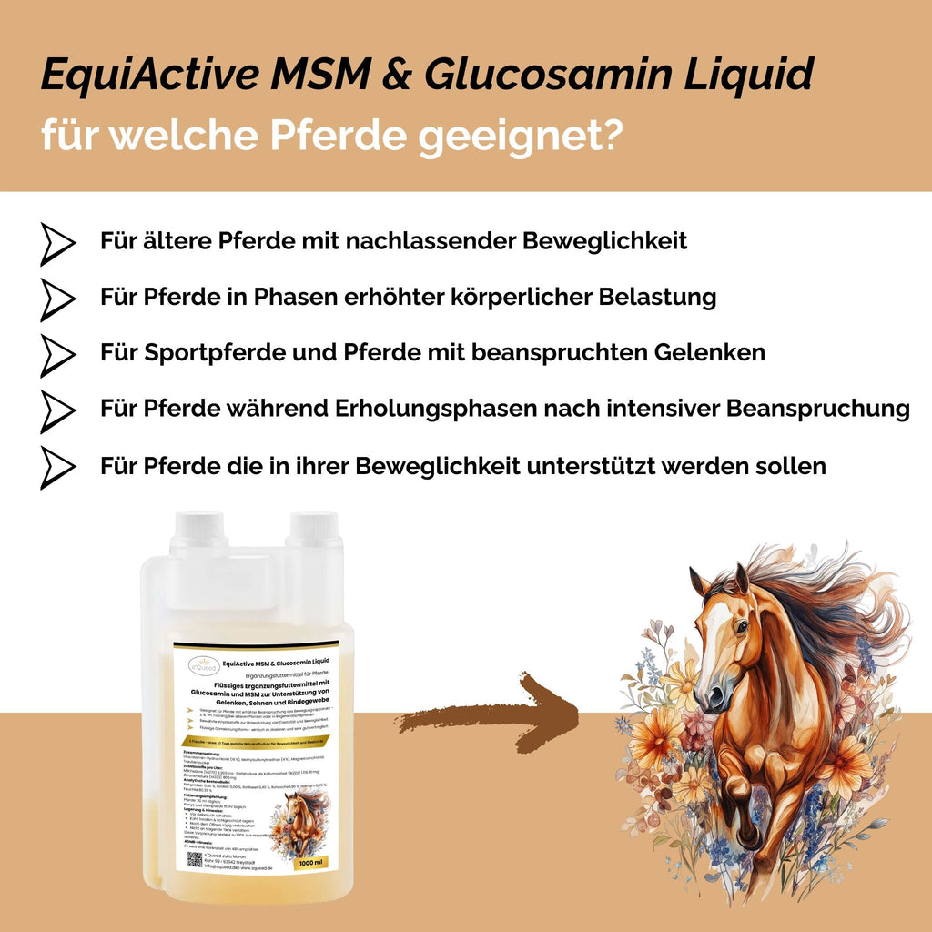 EquiActive MSM & Glucosamin Pferd Liquid 1000ml - TierVita