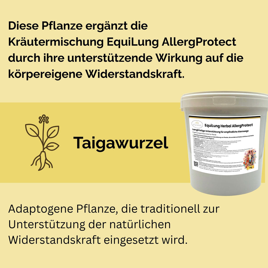 EquiLung Herbal AllergProtect – Hustenkräuter für Pferde zur Langzeitfütterung - TierVita