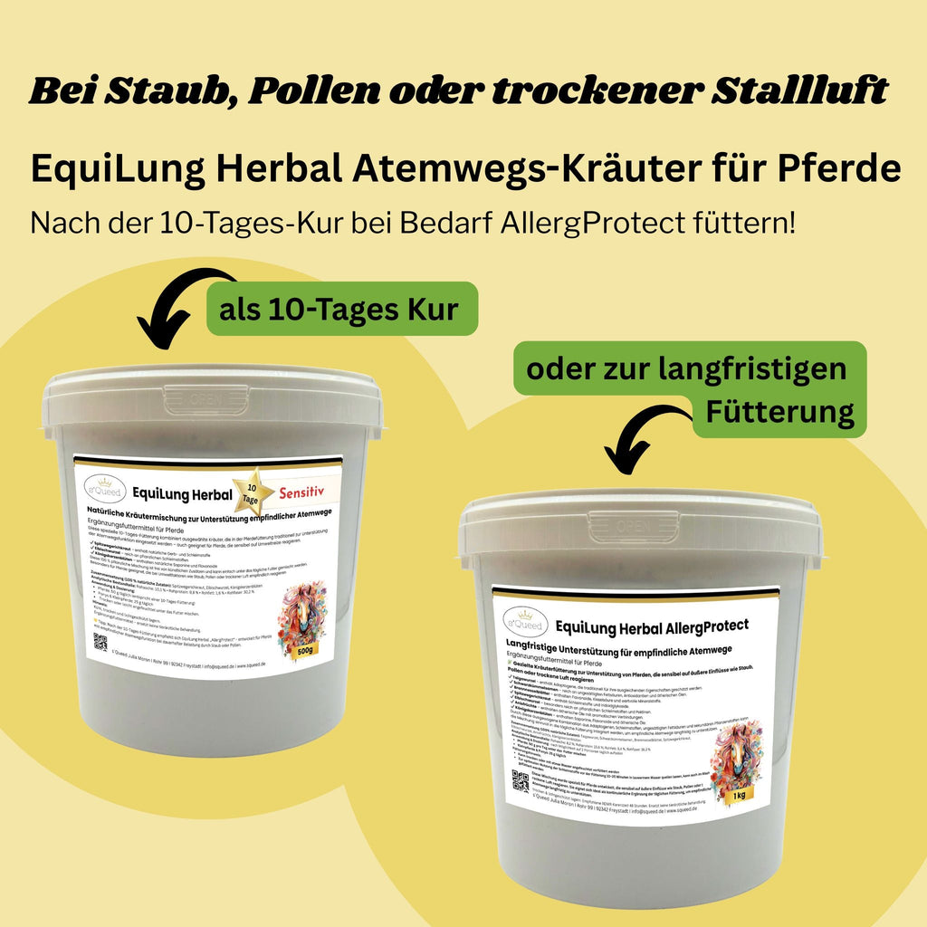EquiLung Herbal AllergProtect – Hustenkräuter für Pferde zur Langzeitfütterung - TierVita