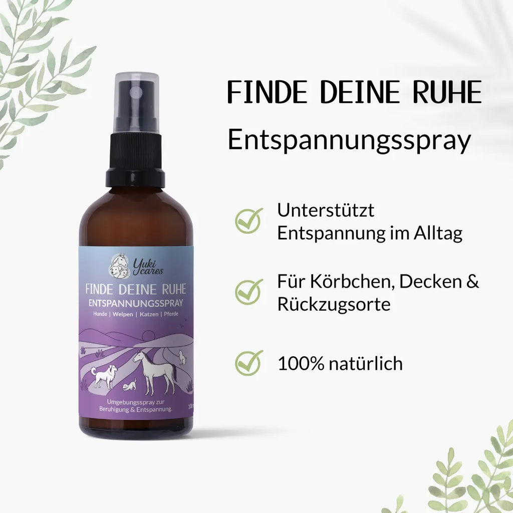 Entspannungsspray Cool down 100ml