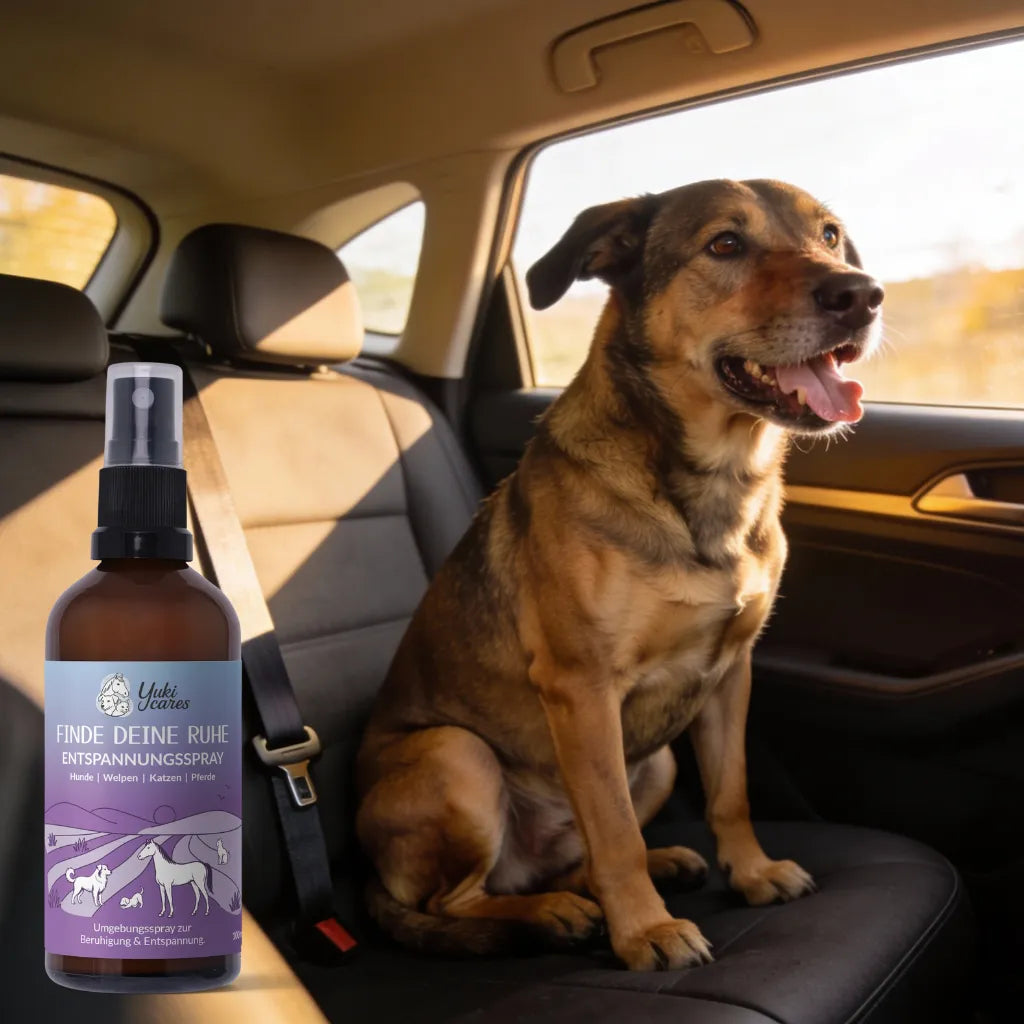 Entspannungsspray Cool down 100ml