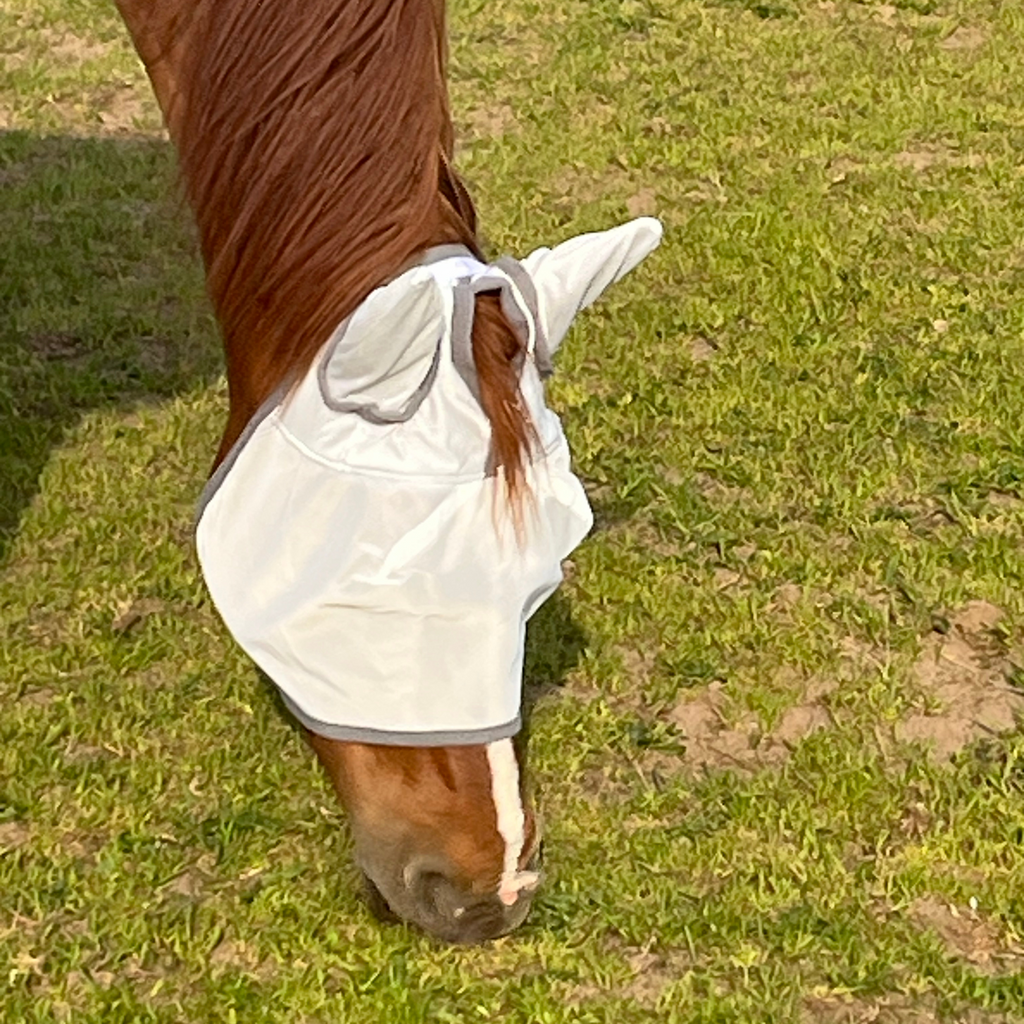Fliegenmaske Fliegenohren Fliegenschutz für Pferde - TierVita