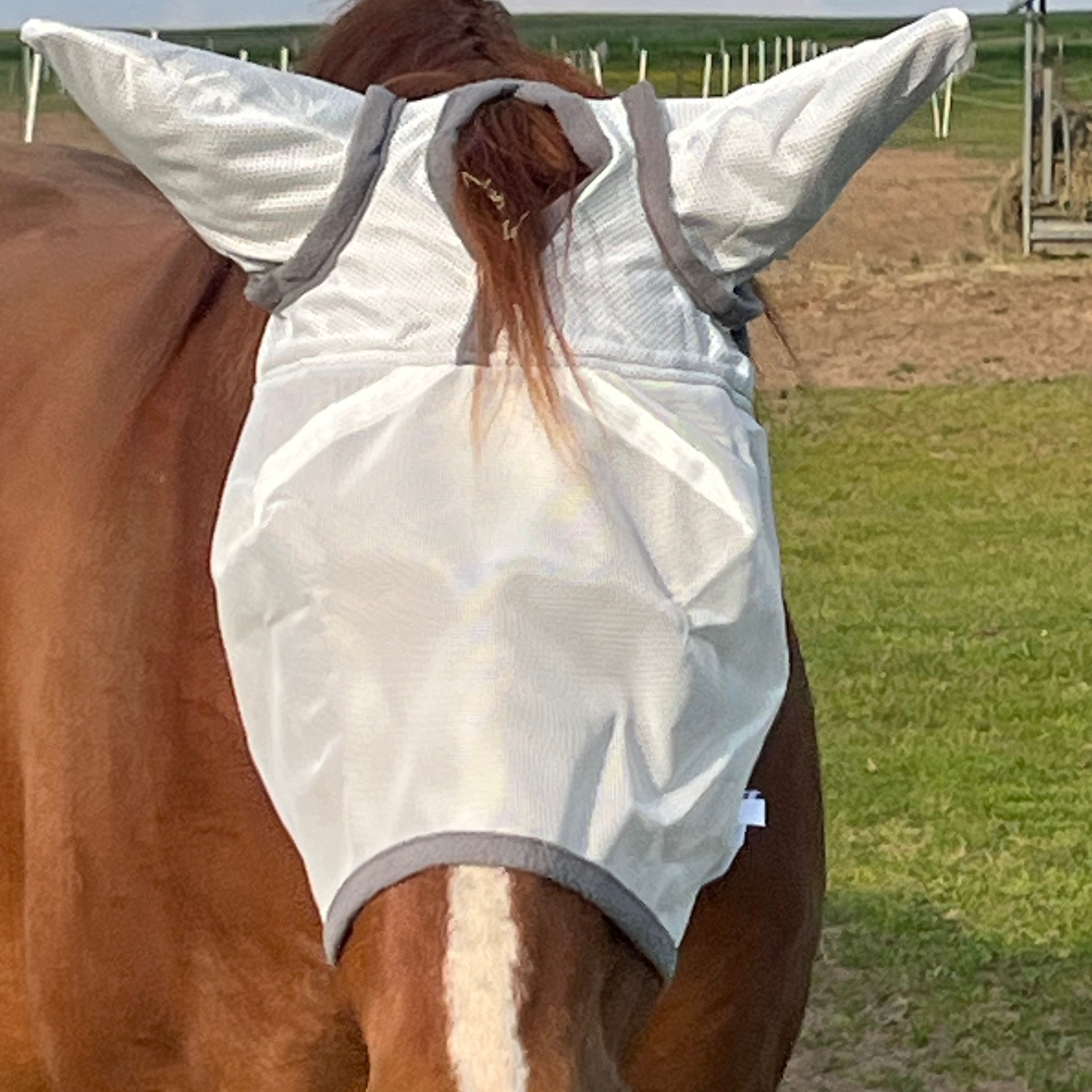 Fliegenmaske Fliegenohren Fliegenschutz für Pferde - TierVita