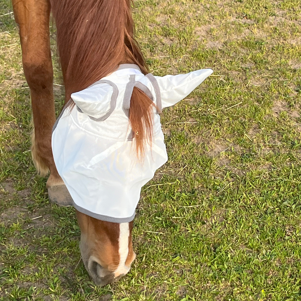 Fliegenmaske Fliegenohren Fliegenschutz für Pferde - TierVita