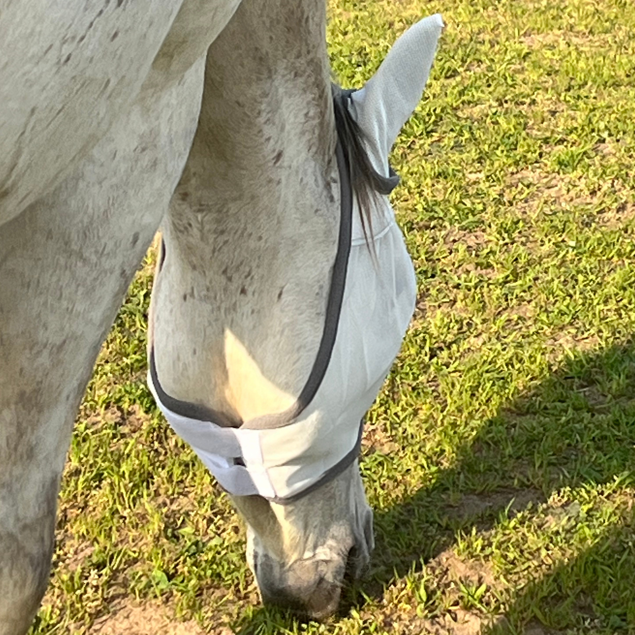 Fliegenmaske Fliegenohren Fliegenschutz für Pferde - TierVita
