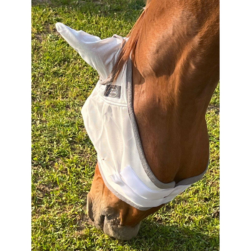 Fliegenmaske Fliegenohren Fliegenschutz für Pferde - TierVita