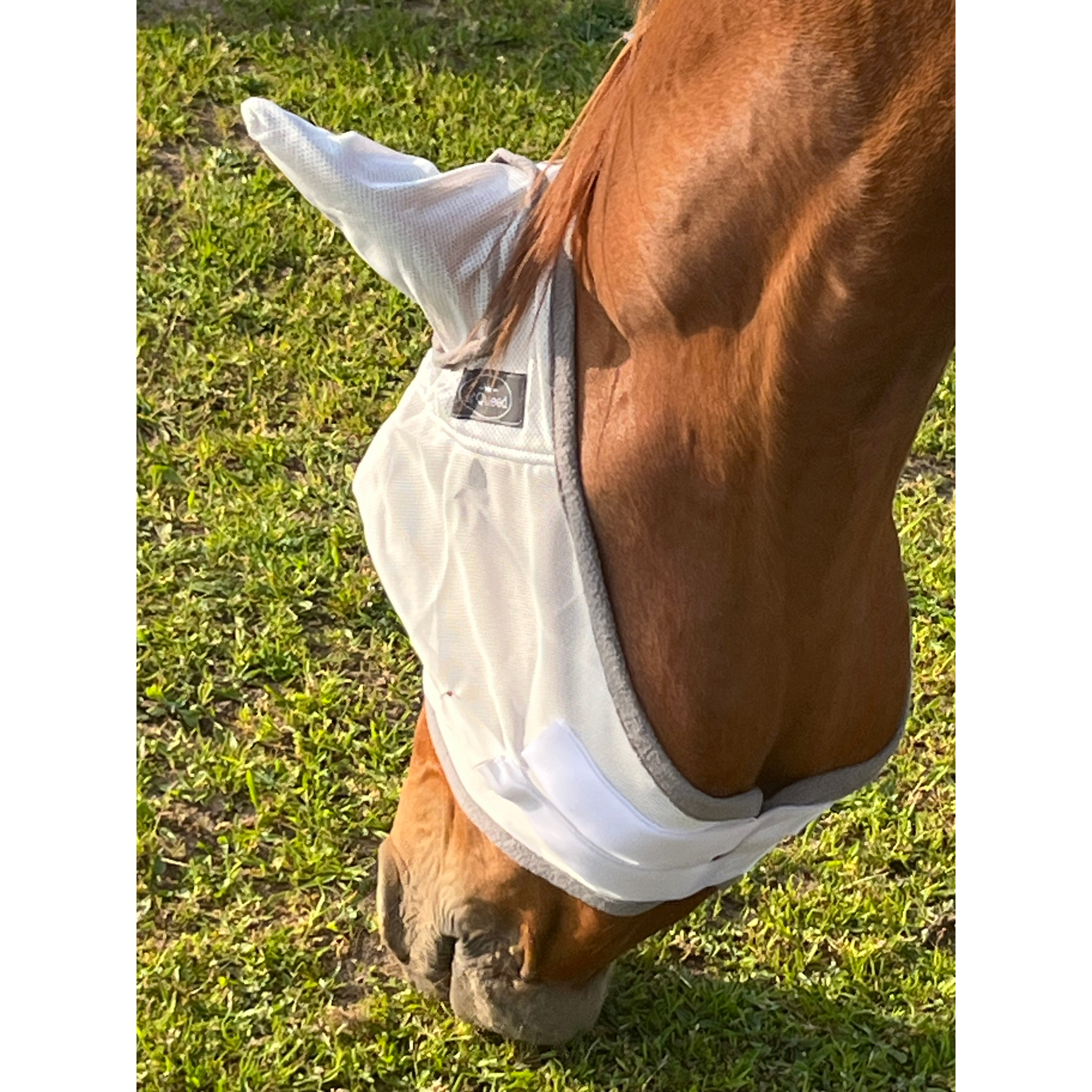 Fliegenmaske Fliegenohren Fliegenschutz für Pferde - TierVita