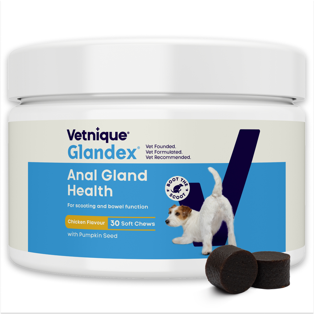 Glandex Soft Chews Huhn – 30 Kausnacks (120 g) für Hunde