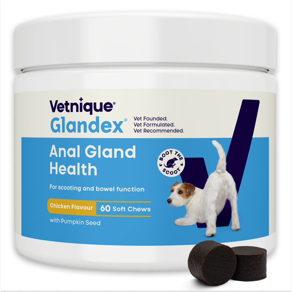 Glandex Soft Chews Huhn – 60 Kausnacks (240 g) für Hunde