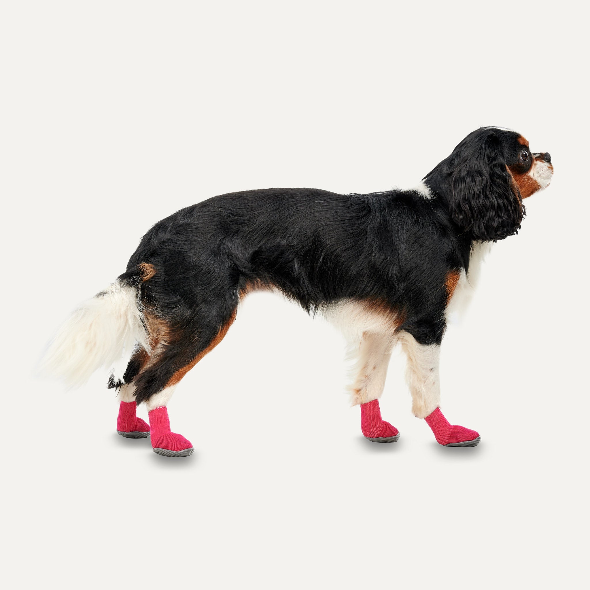 Goo-eez Dog Boots Ultras 2 Per Pack M Rot/Schwarz