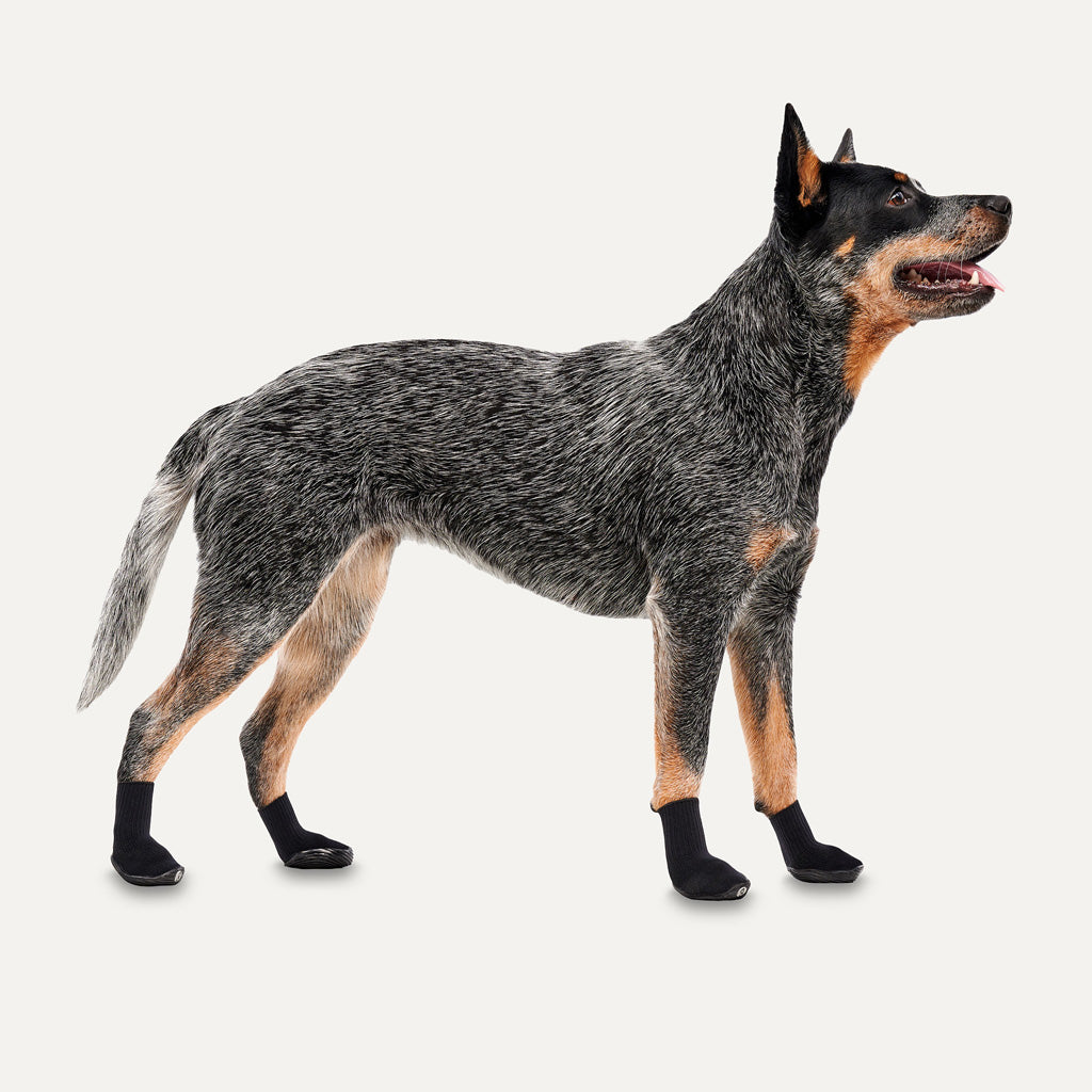 Goo-eez Dog Boots Lites 4 Per Pack XL Schwarz
