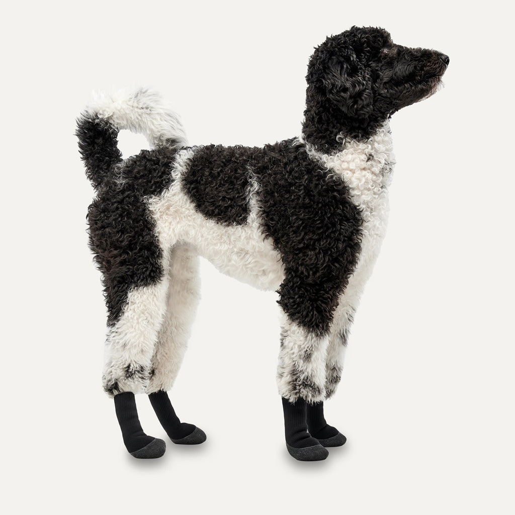 Goo-eez Dog Boots Lites 4 Per Pack XS Camo/Schwarz