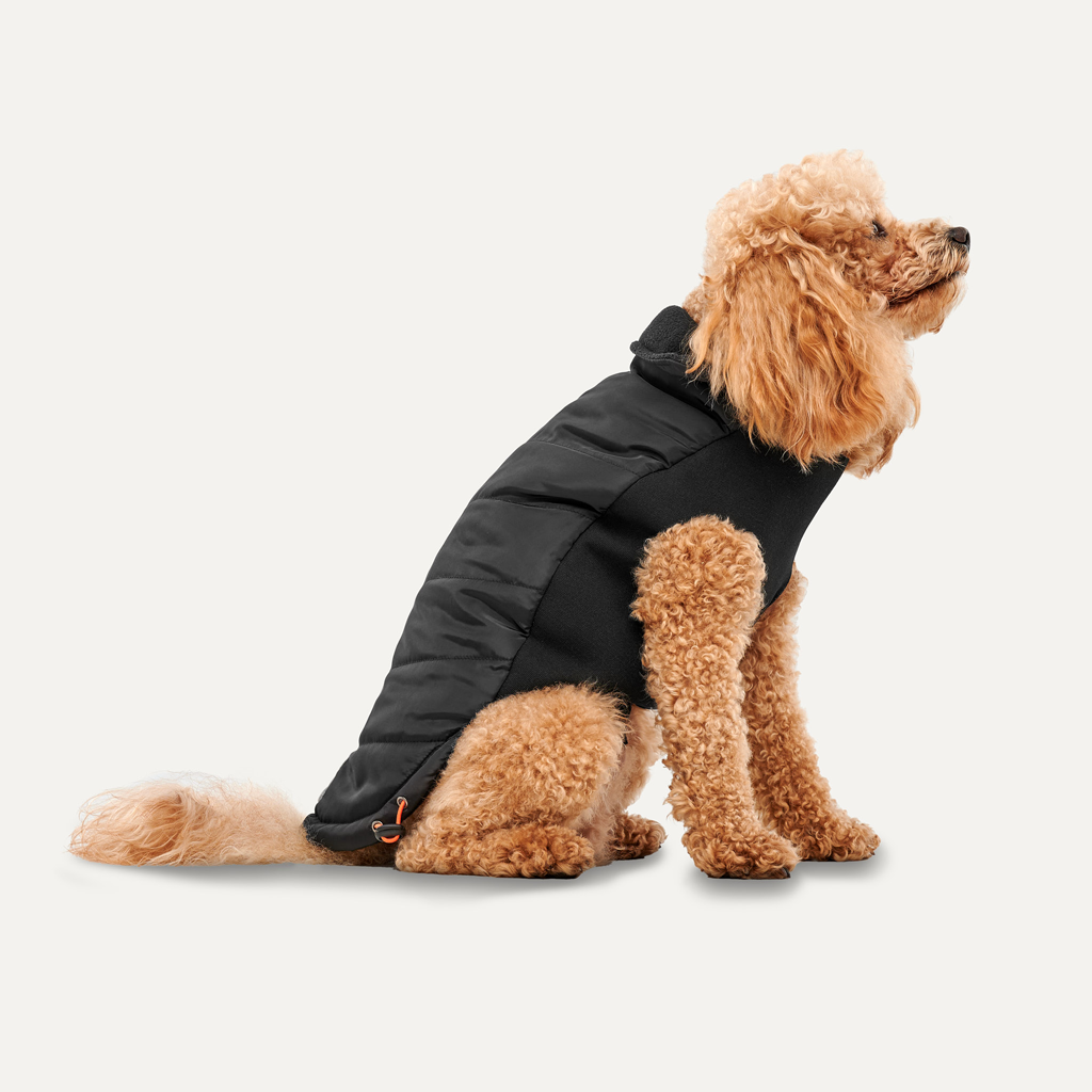 Goo-eez Mock Neck Signature Wrap Jacket S Schwarz
