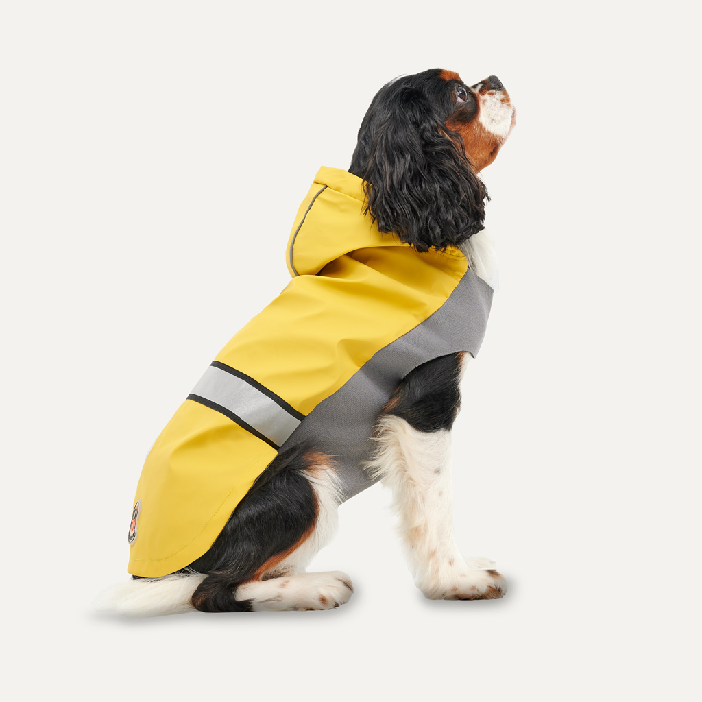 Goo-eez Reflective Hooded Raincoat S Gelb/Grau