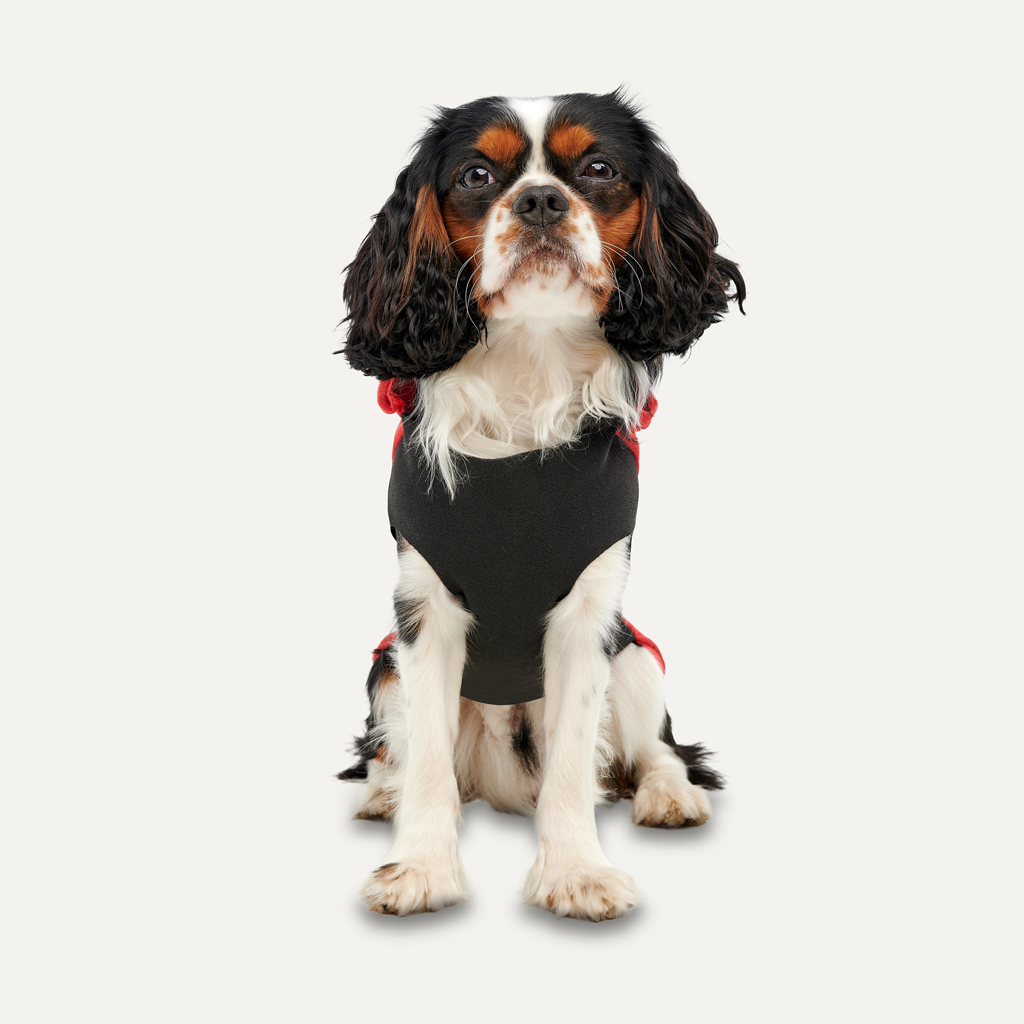 Goo-eez Kangaroo Fleece Hoodie XXS Rot/Schwarz