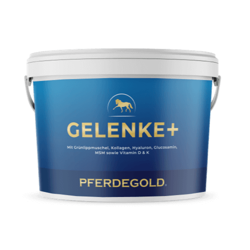 Pferdegold® Gelenke+ 2.0 – Gelenknahrung für Pferde mit Omega 3