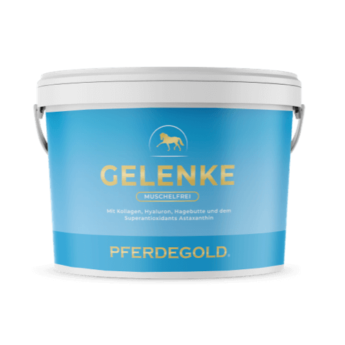 Pferdegold® Gelenke Muschelfrei 2.0 – Gelenknahrung für Pferde ohne Grünlippmuschel