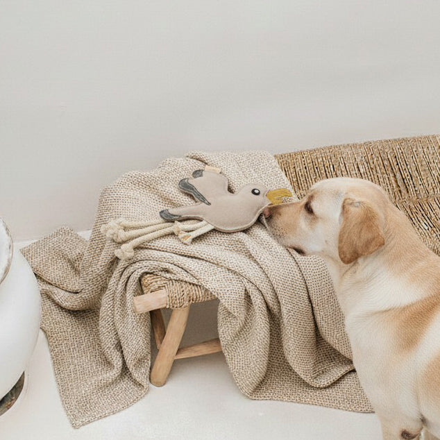 BUDDY. Hundespielzeug aus Leder "Möwe" - TierVita
