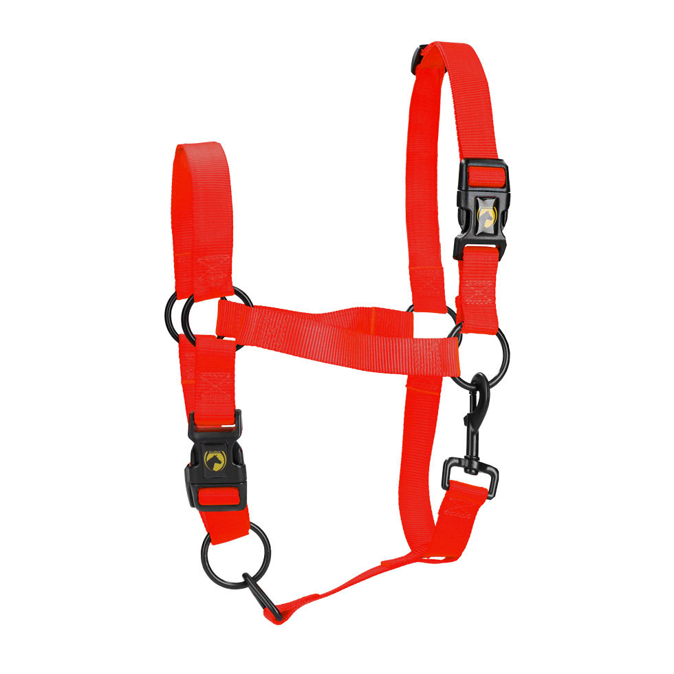Excellent Essential Halfter Rot XS