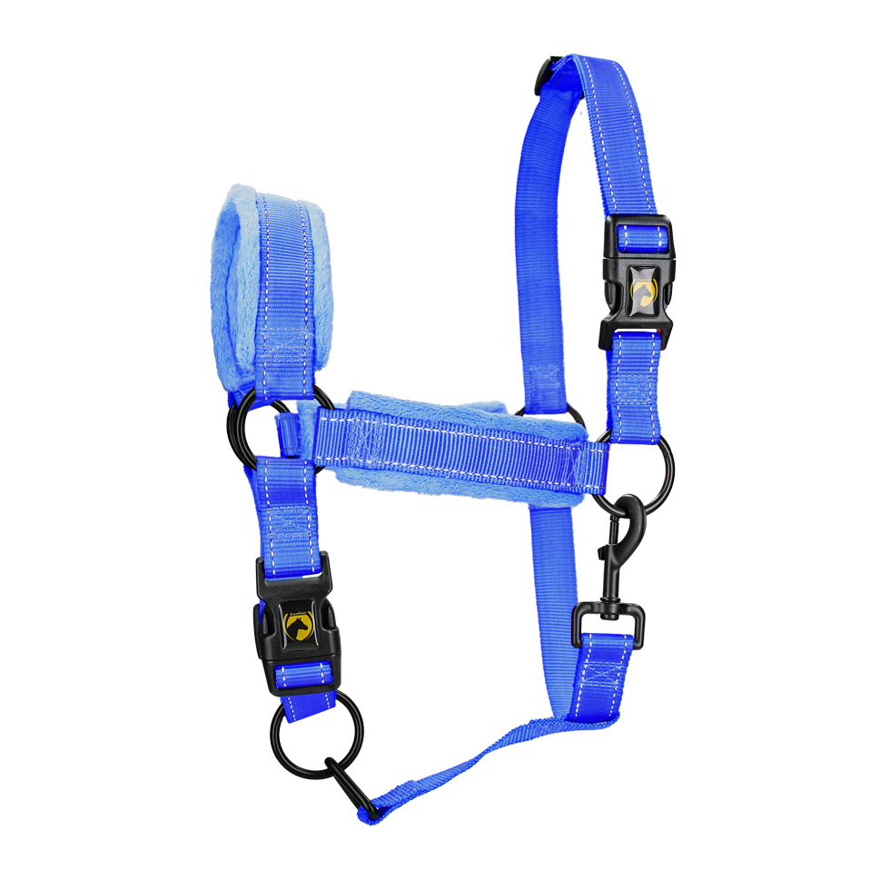Excellent Superior Halfter Blau M