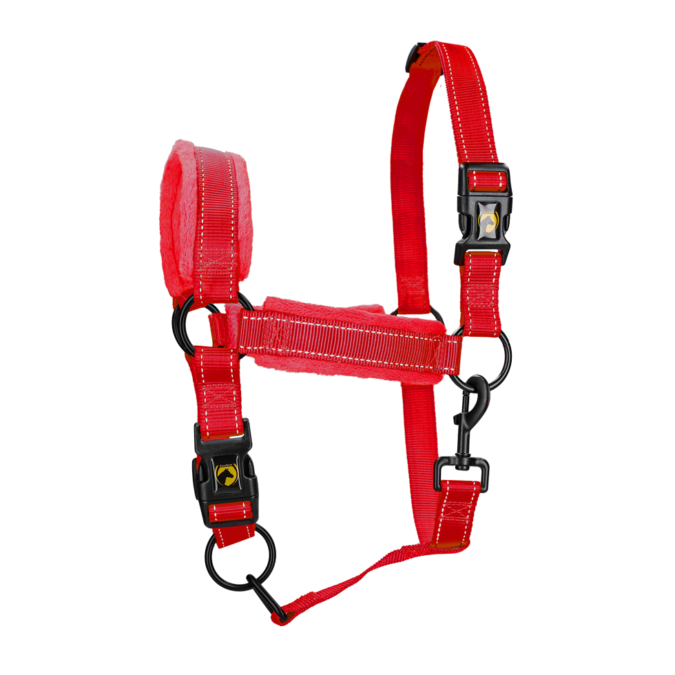 Excellent Superior Halfter Rot L