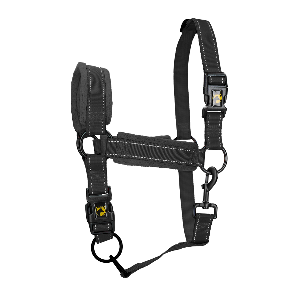Excellent Superior Halfter Schwarz XL