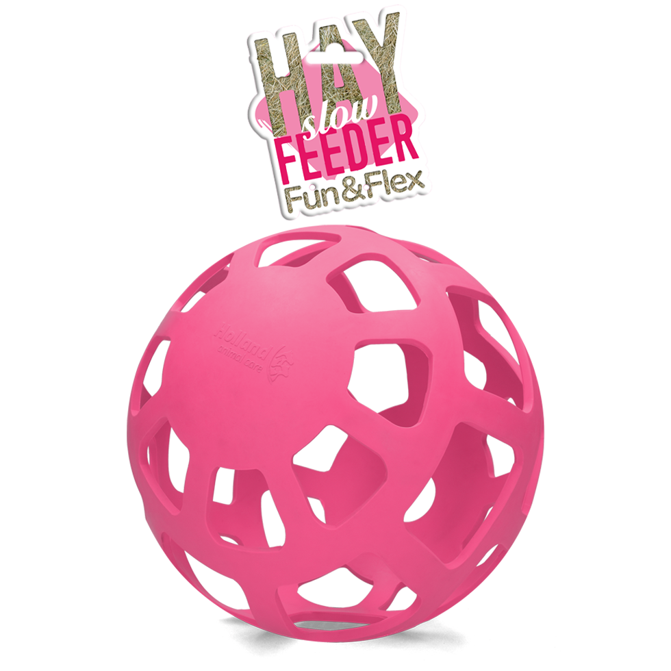 Hay Slow Feeder Fun & Flex Rosa