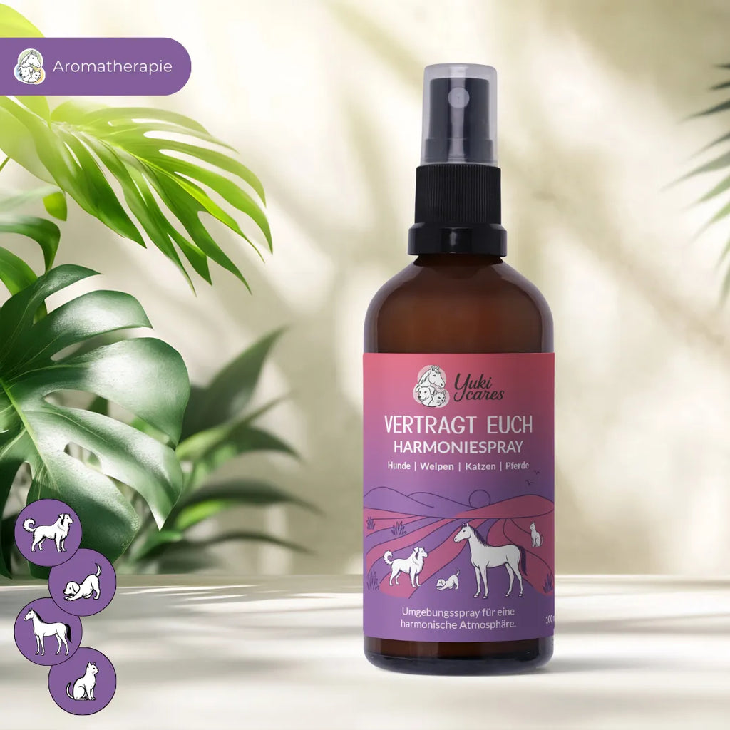 Harmoniespray Vertragt euch