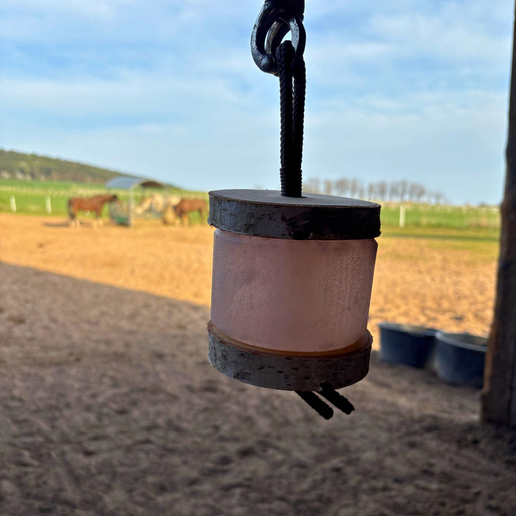 Himalaya-Leckstein Set: Halterung aus Birkenholz und 2 Himalaya Salzlecksteinen - TierVita