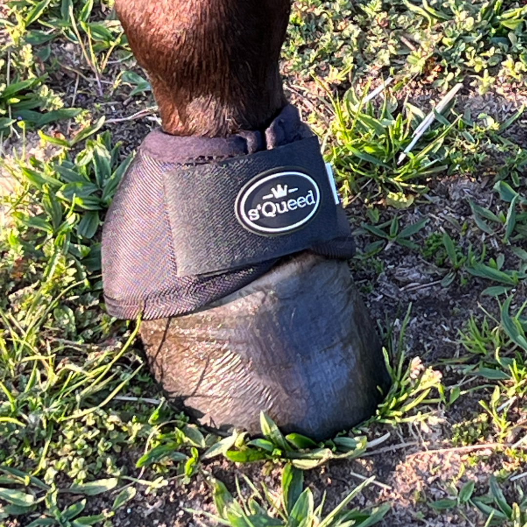 Hufglocken Bell Boots - TierVita