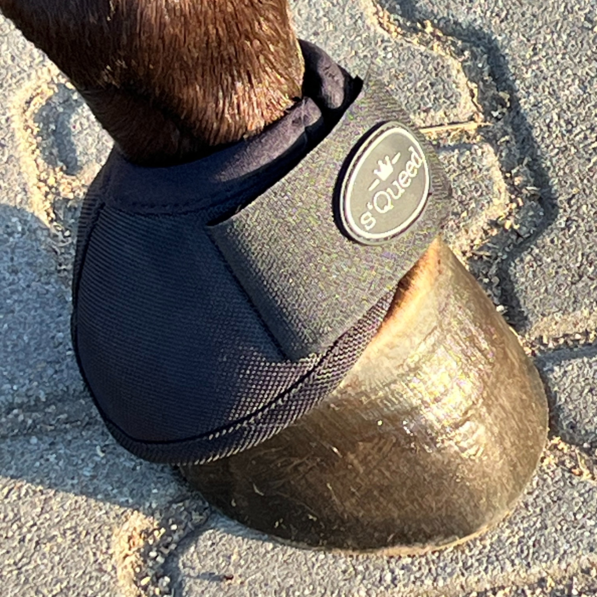 Hufglocken Bell Boots - TierVita