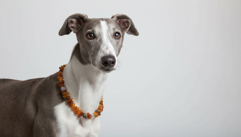 Hunde Bernsteinkette Swari - TierVita