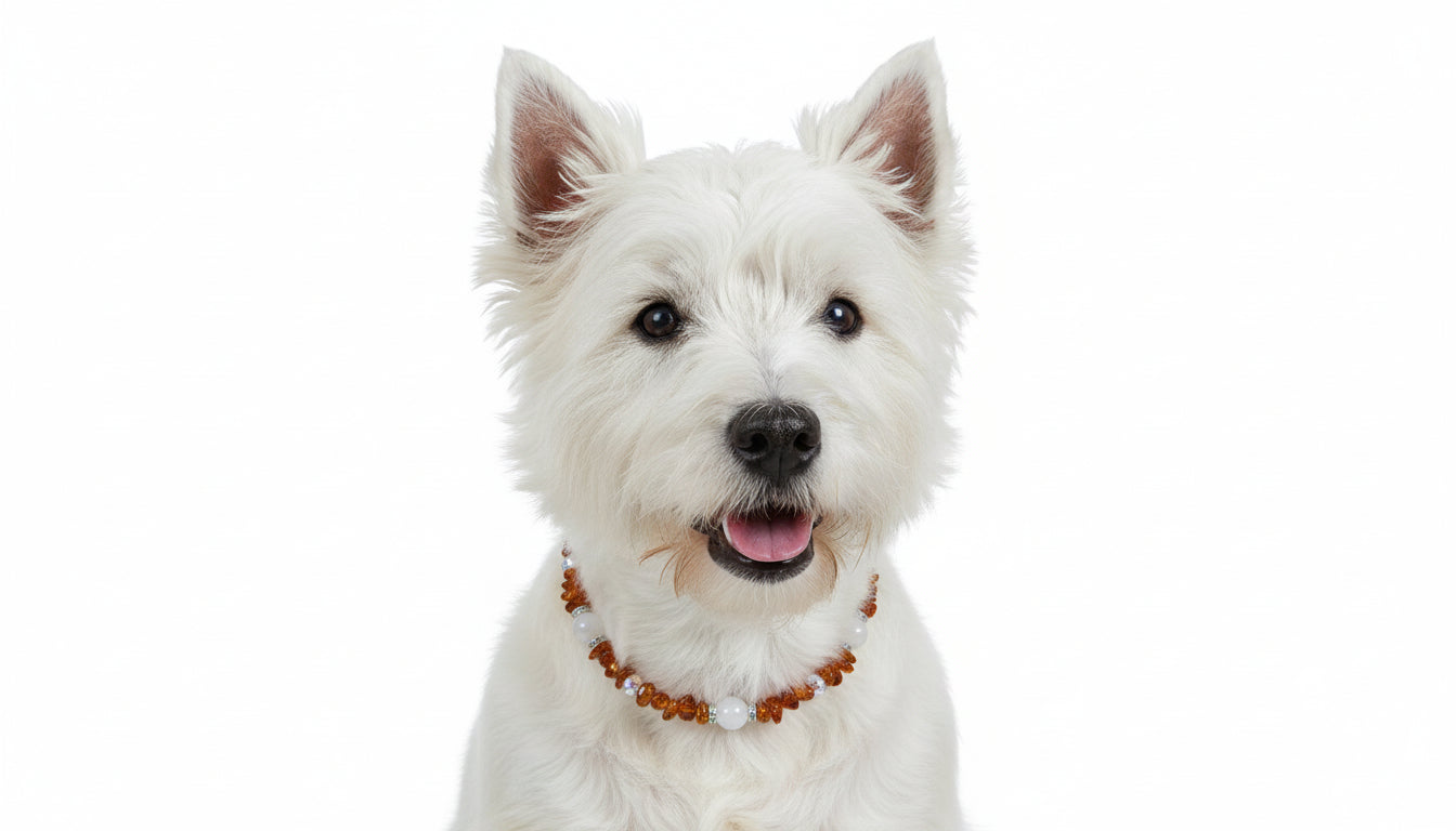 Bernsteinkette Hund Rosenquarz & Swari Länge 37cm - TierVita