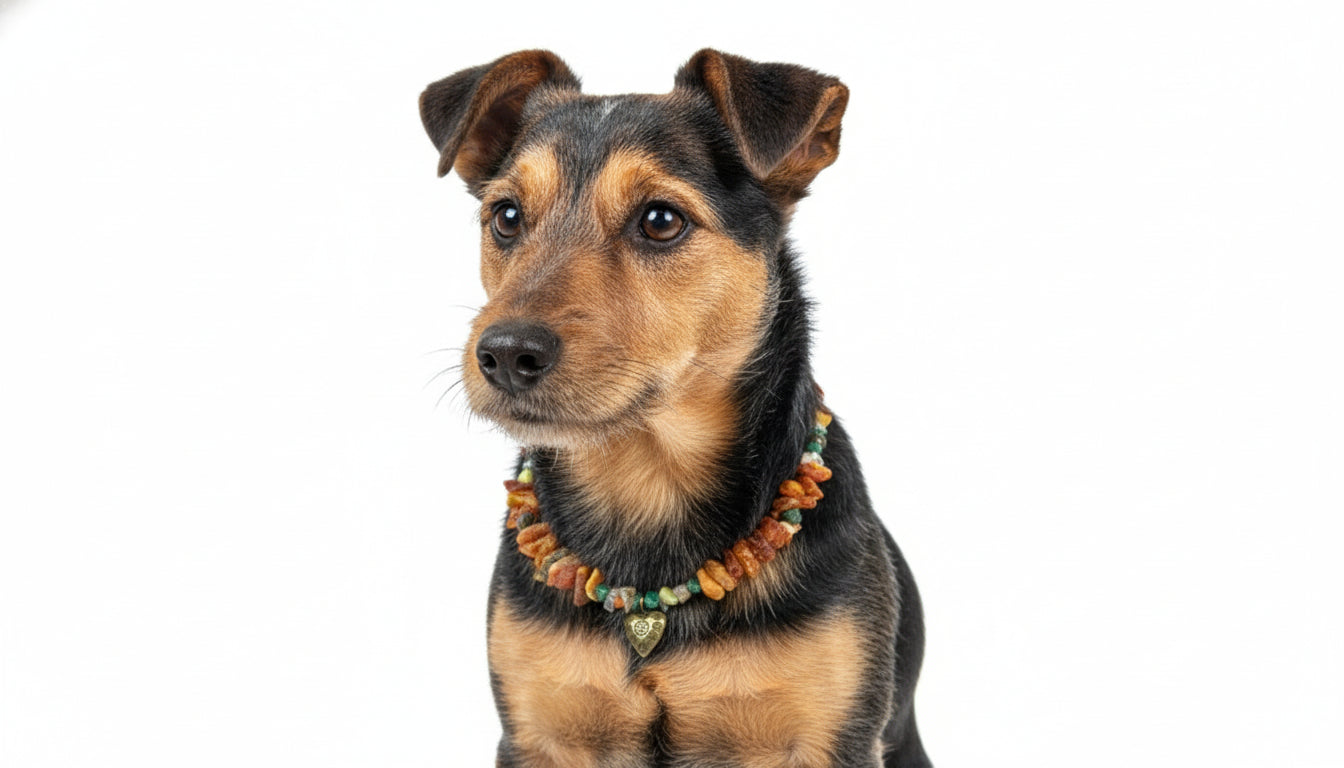 Hunde Bernsteinkette mit Edelsteinen Herzchen Länge 34cm - TierVita