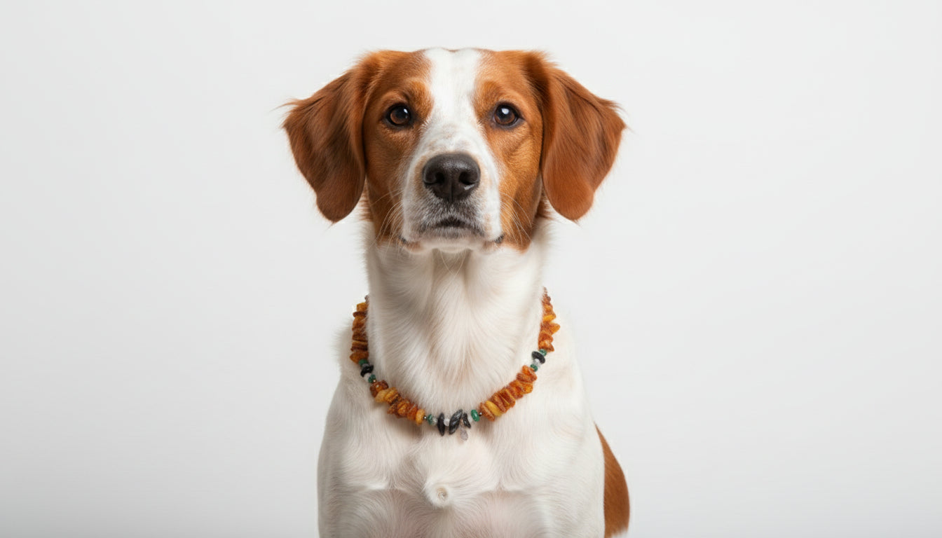 Hunde Bernsteinkette mit Edelsteinen Länge 40cm - TierVita