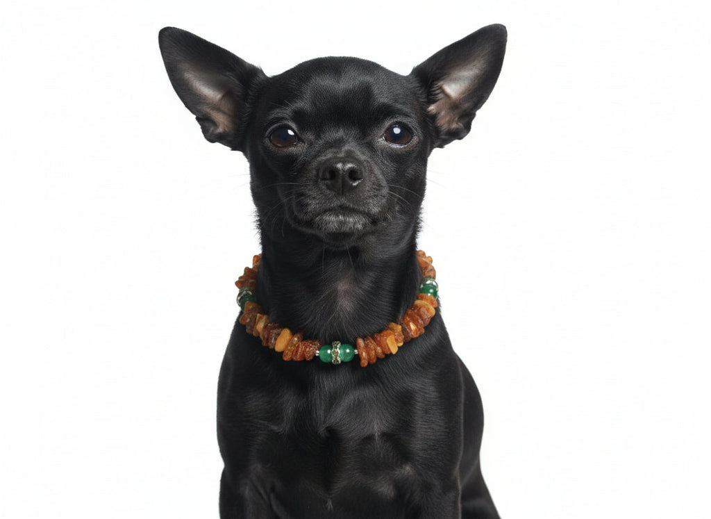 amberdog Hunde Bernsteinkette mit Jade Länge 23cm - TierVita