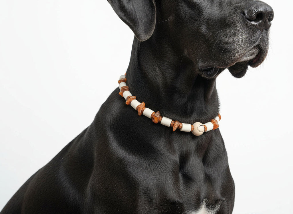 EM Keramik Kette Amberwood für Hunde - TierVita