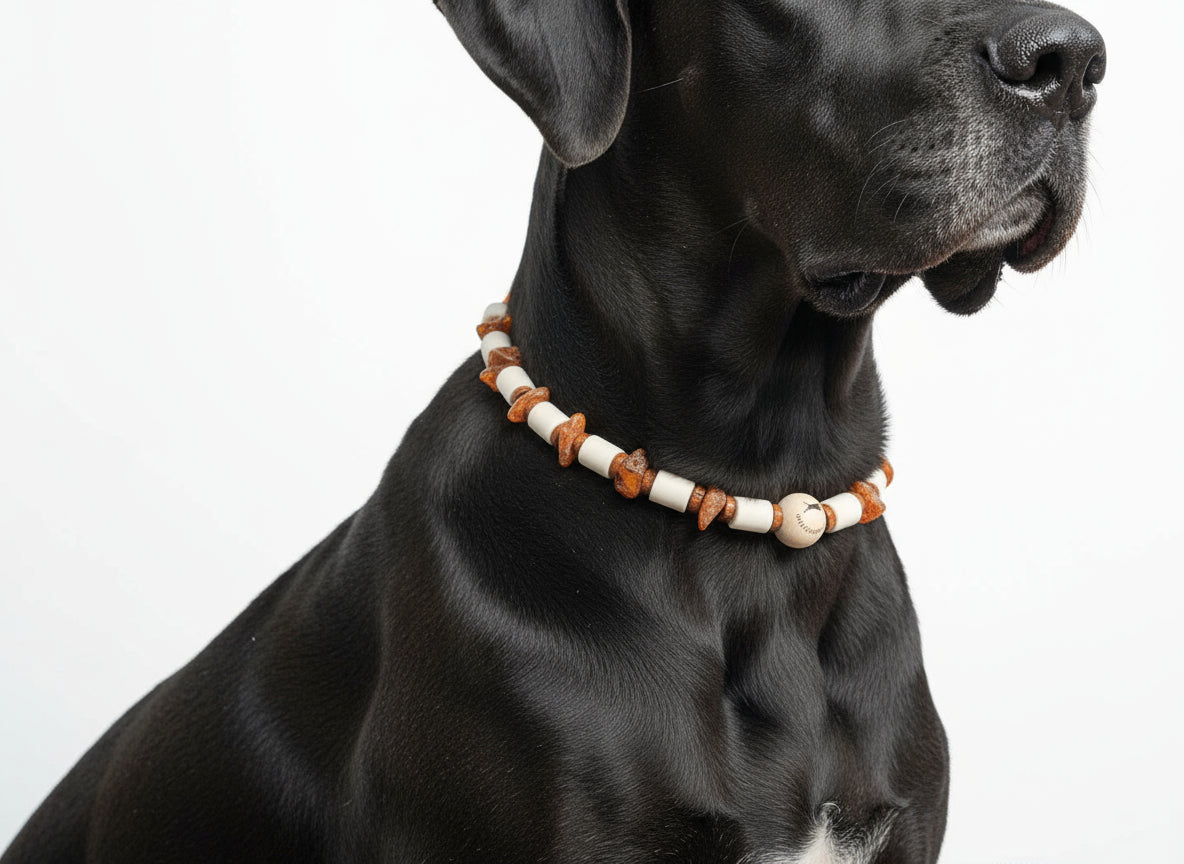 EM Keramik Kette Amberwood für Hunde - TierVita