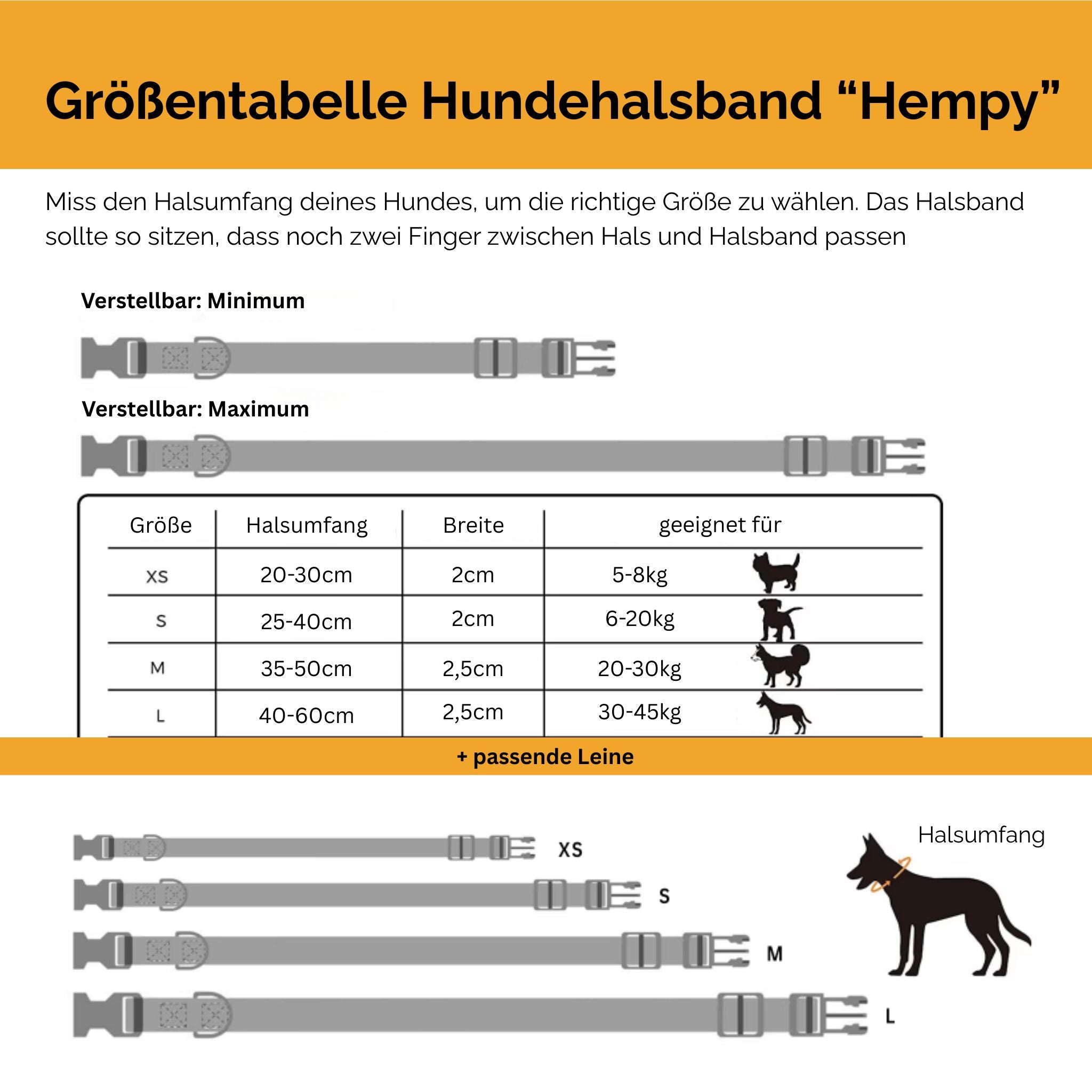 Hundehalsband-Set "Hempy" - Halsband + Leine + gravierte Hundemarke - TierVita