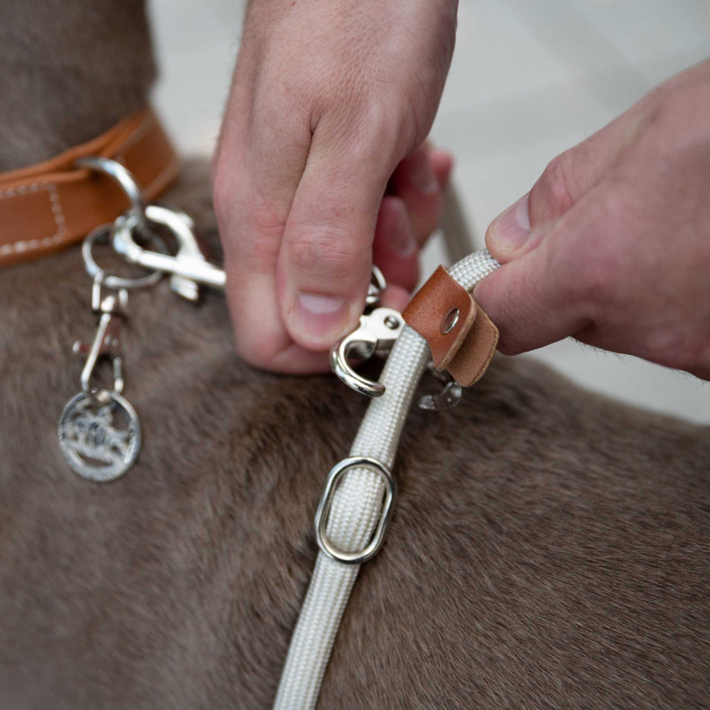 LeichtLaufLeine® Kurzleine und Übungsleine zur besseren Leinenführung - TierVita