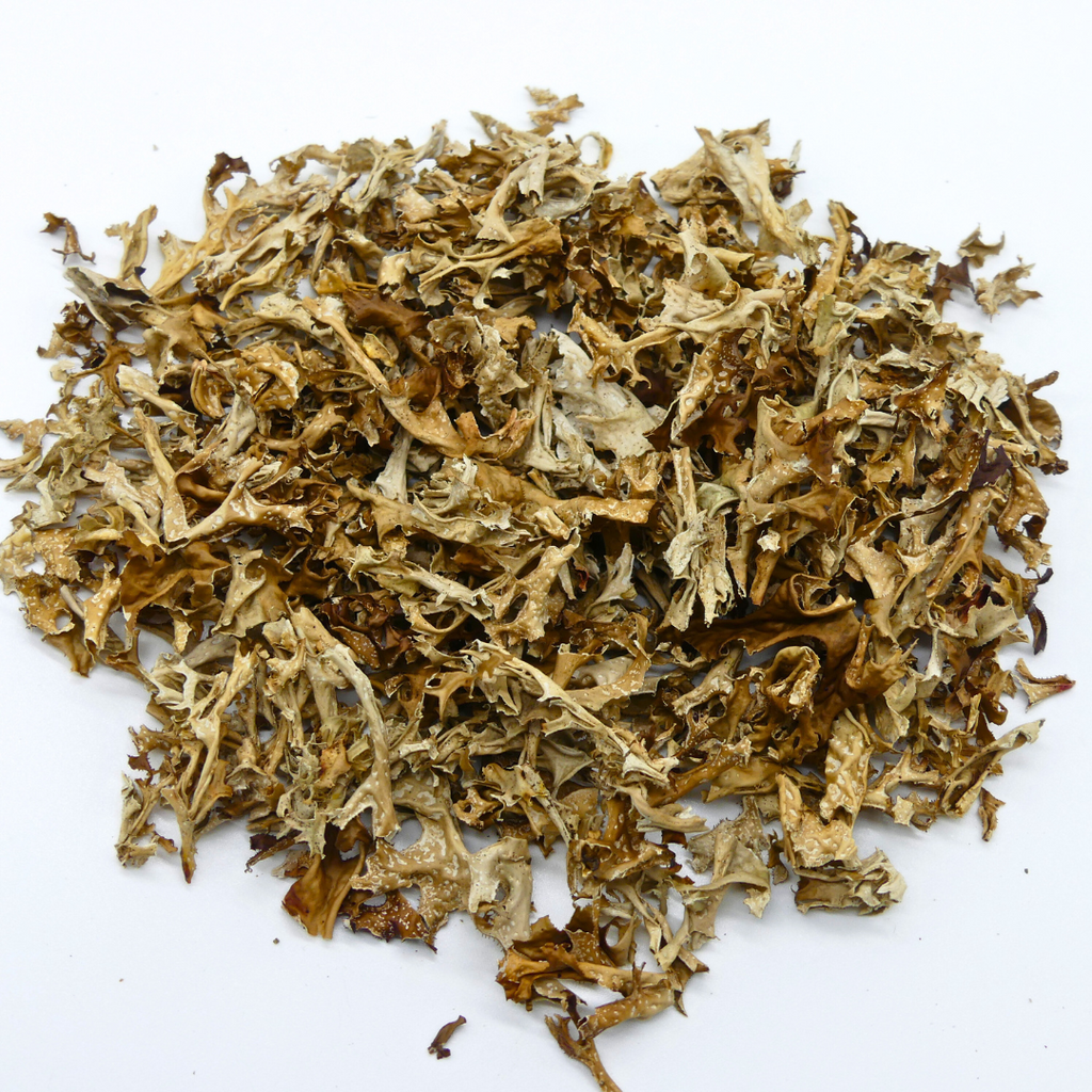 Isländisch Moos Pferd 1kg - TierVita