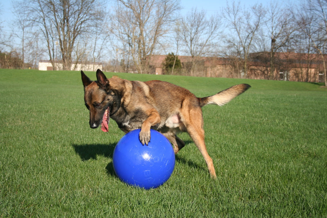 Jolly Push-n-Play Rot L (25 cm)
