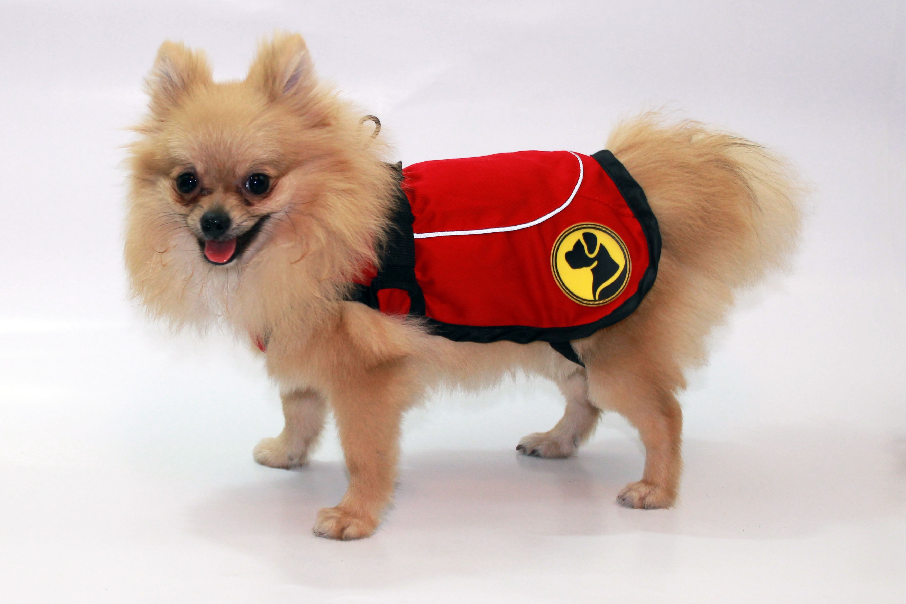 Dog Armor Knockdown Coat (Insect Shield) XS (35cm rückenlänge)