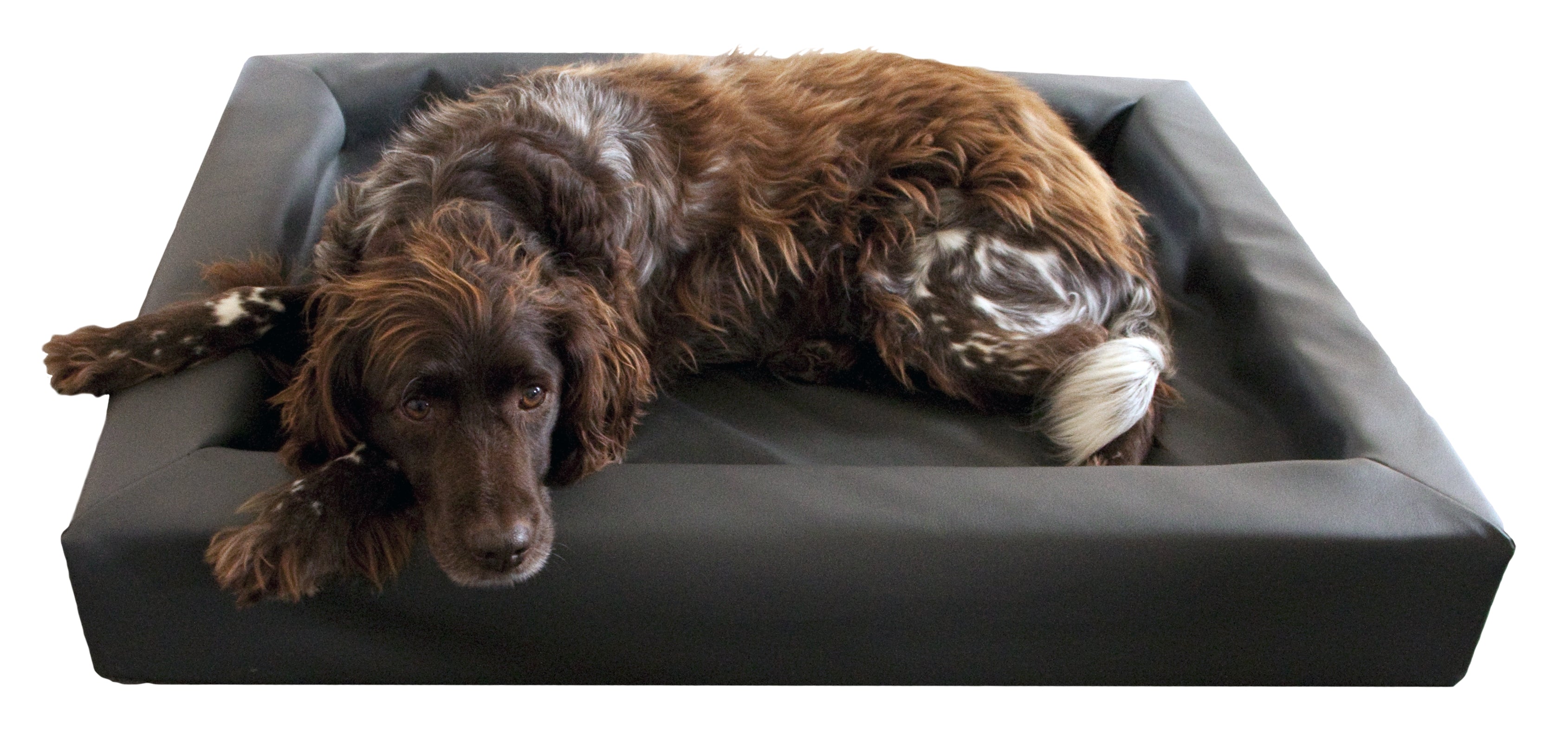 Lounge Hundebett S - 50 x 60 cm