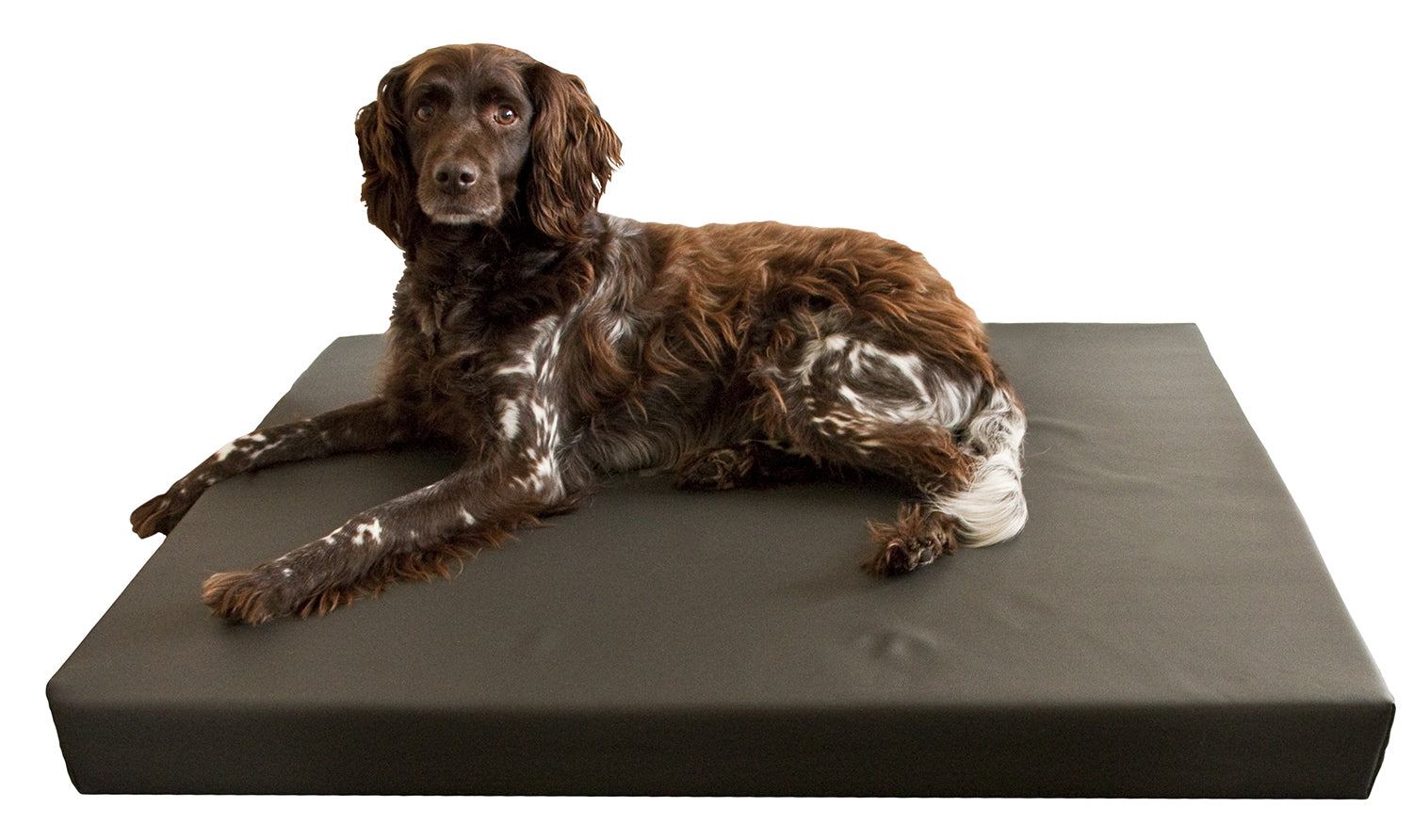 HD Dog Bed XL