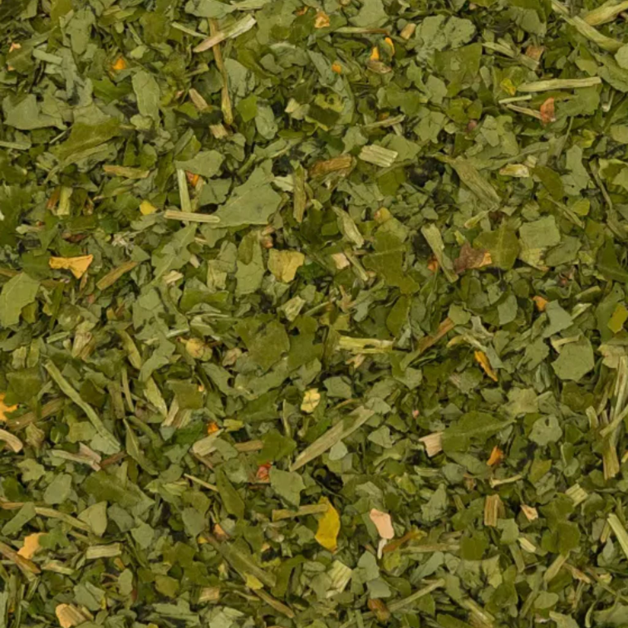 Kapuzinerkresse Pferd 1kg - TierVita