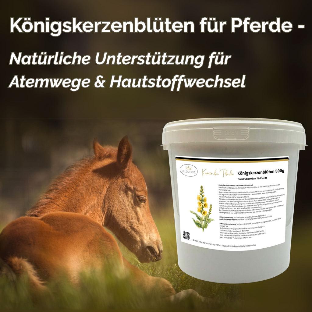 Königskerzenblüten Pferd 500g - TierVita