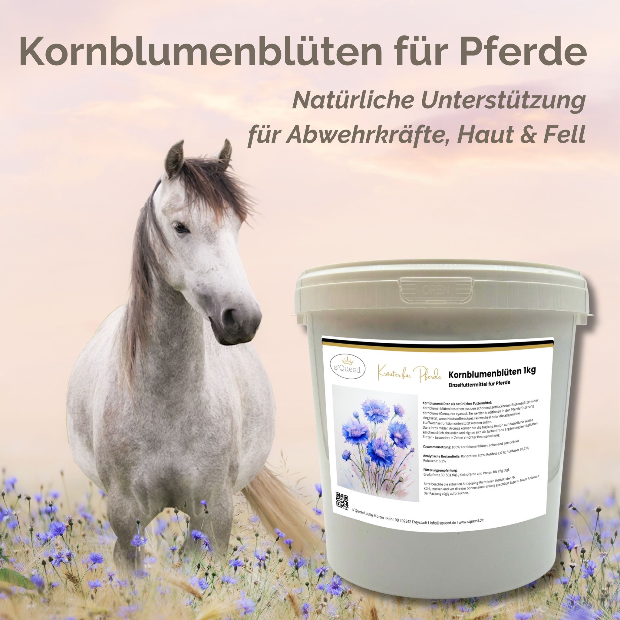 Kornblume Pferd 1kg - TierVita