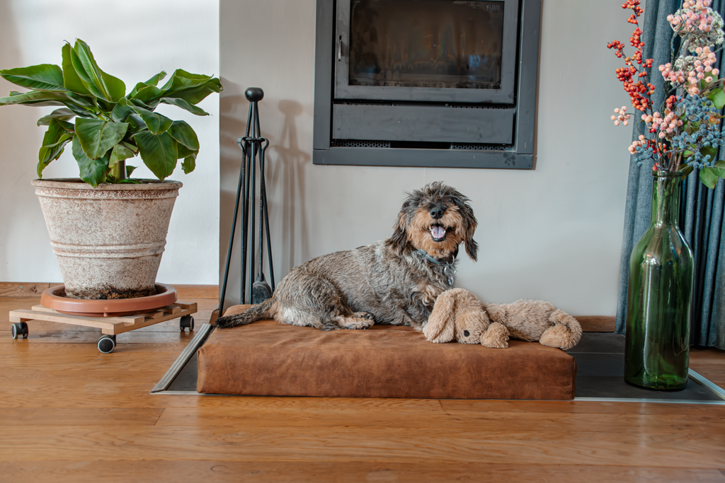 Let's Sleep Mellow Mattress Orthopädisches Bett L Anthrazit